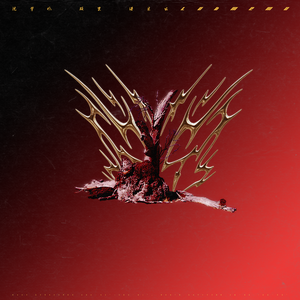 性受XXXX黑人XYX性爽
